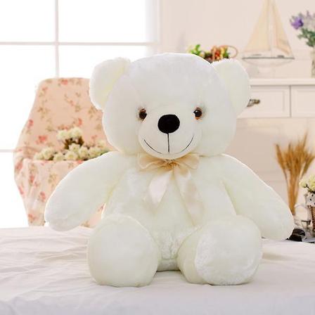 Enchanted Teddy Bear