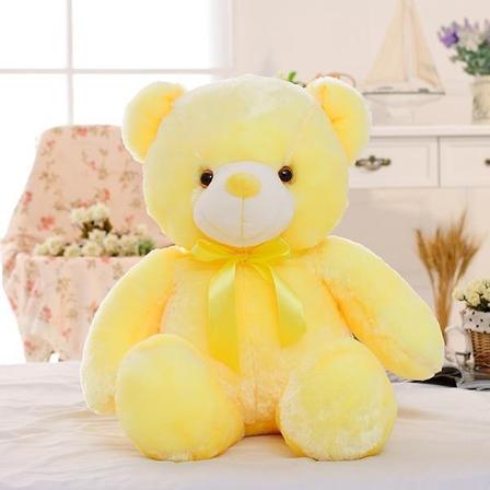 Enchanted Teddy Bear