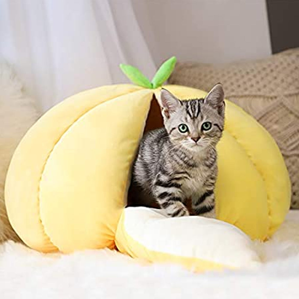 garlic shaped kawaii cat bed 