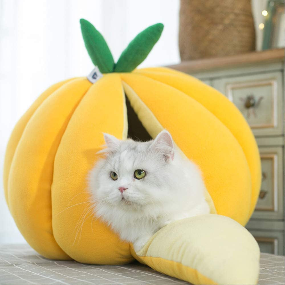 cute cat bed 