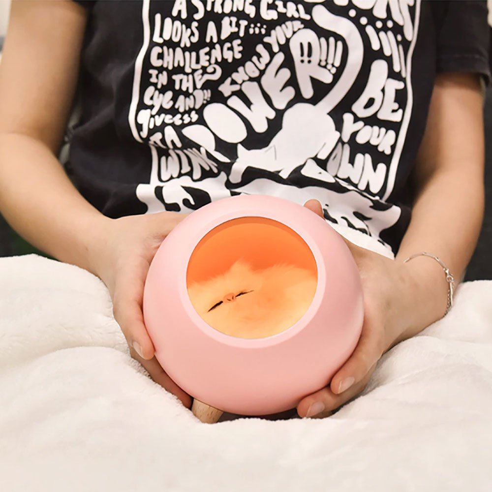 cat night lamp